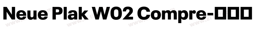 Neue Plak W02 Compre字体转换